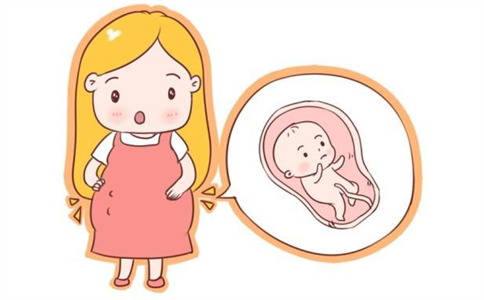 能从孕囊看出是男孩还是女孩吗？孕囊只有两个数据，怎么判断男女？
