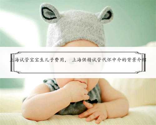 上海试管宝宝生儿子费用， 上海供精试管代怀中介的背景介绍