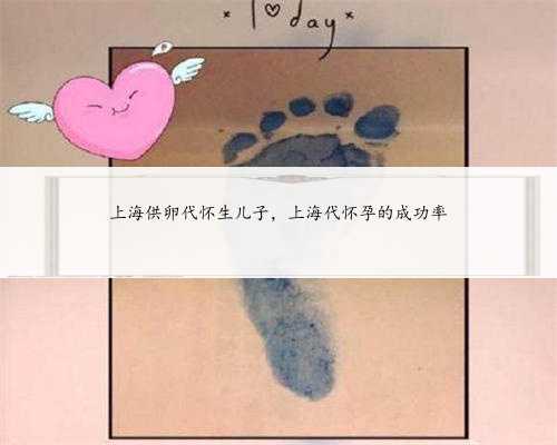 上海供卵代怀生儿子，上海代怀孕的成功率