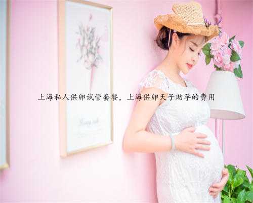 上海私人供卵试管套餐，上海供卵天子助孕的费用