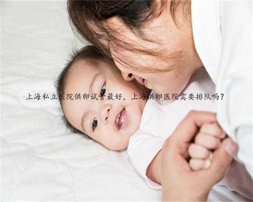 上海私立医院供卵试管最好，上海供卵医院需要排队吗？