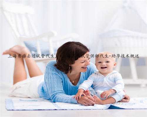 上海有谁去过试管代生， 上海三代试管供卵代生-助孕技术概述