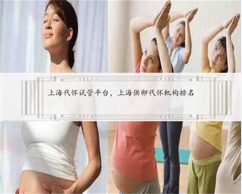 上海代怀试管平台，上海供卵代怀机构排名