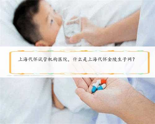 上海代怀试管机构医院，什么是上海代怀金陵生子网？