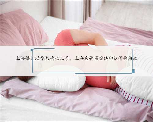 上海供卵助孕机构生儿子，上海民营医院供卵试管价格表