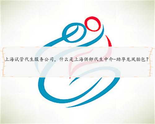 上海试管代生服务公司，什么是上海供卵代生中介-助孕龙凤胎包？