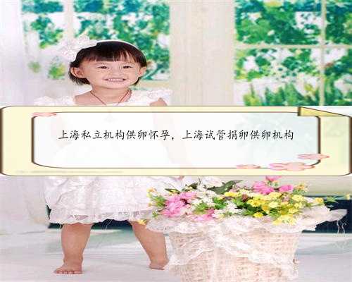 上海私立机构供卵怀孕，上海试管捐卵供卵机构