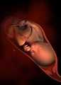 为啥孕后期老腿抽筋，怎么办_生殖科都检查哪些