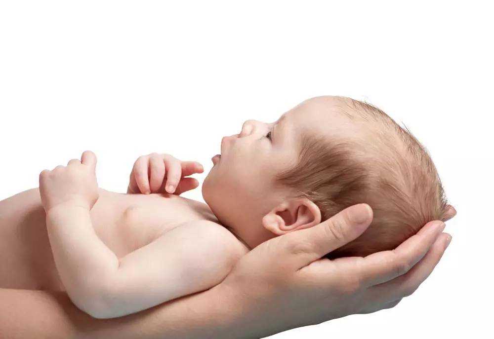 从代孕到胎儿出生的整个过程3D详解图_福州医院