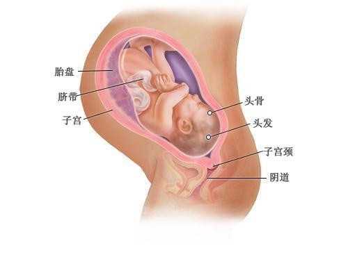 为了宝宝健康代孕们要做产前检查_上海代孕案