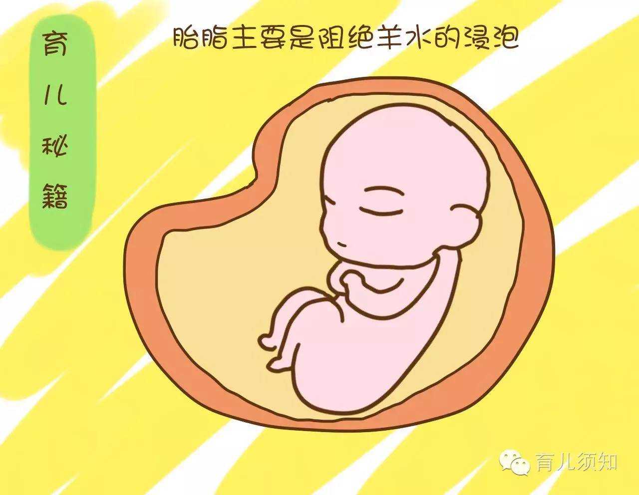 广州喜临门代孕电话：B超中的S／D是什么意思