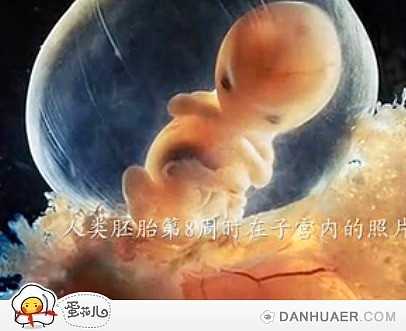 国外代孕产子：试管婴儿促排卵之“超长方案”