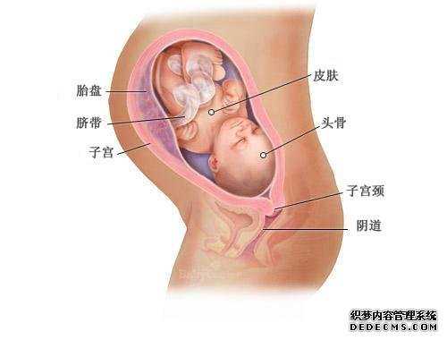 上海想怀孕吃什么助孕-上海诚信代孕公司