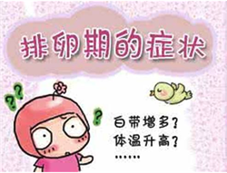 上海借卵供卵试管可以做无创吗_上海试管代孕成功率排名_缓解宝宝便秘 可以给