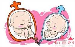 2023职业上海助孕,上海地下供卵机构需要多少钱？咨询南方39助孕