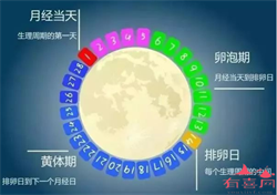 上海捐卵代妈,上海捐卵试管成功率前十的医院名单，附2022年捐卵男生费用清单