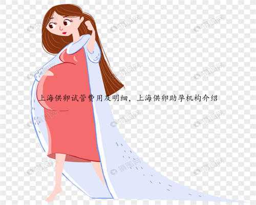 上海供卵试管费用及明细，上海供卵助孕机构介绍