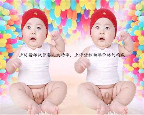 上海借卵试管婴儿成功率，上海借卵助孕价格的构成