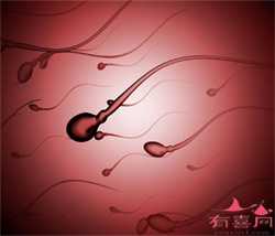 上海有代怀吗，中国试管婴儿提供供卵么